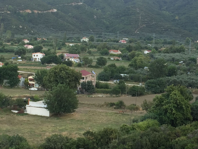 Koyumüzden görünüm