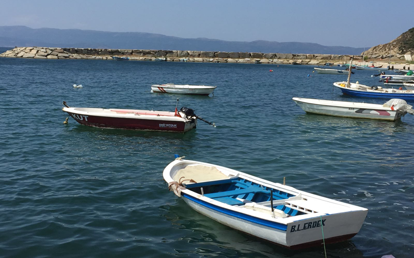 Doğanlar Koyu Deniz 